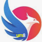 um8 Salvador - Football