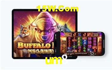 um8 São Paulo - Jogo Providers